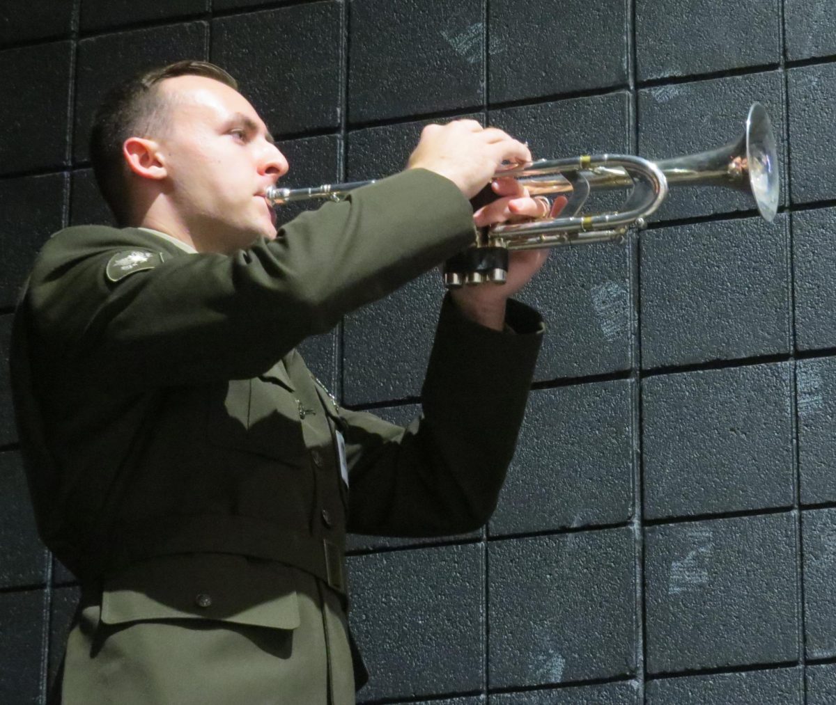 Photo gallery: Veteran's Day ceremony