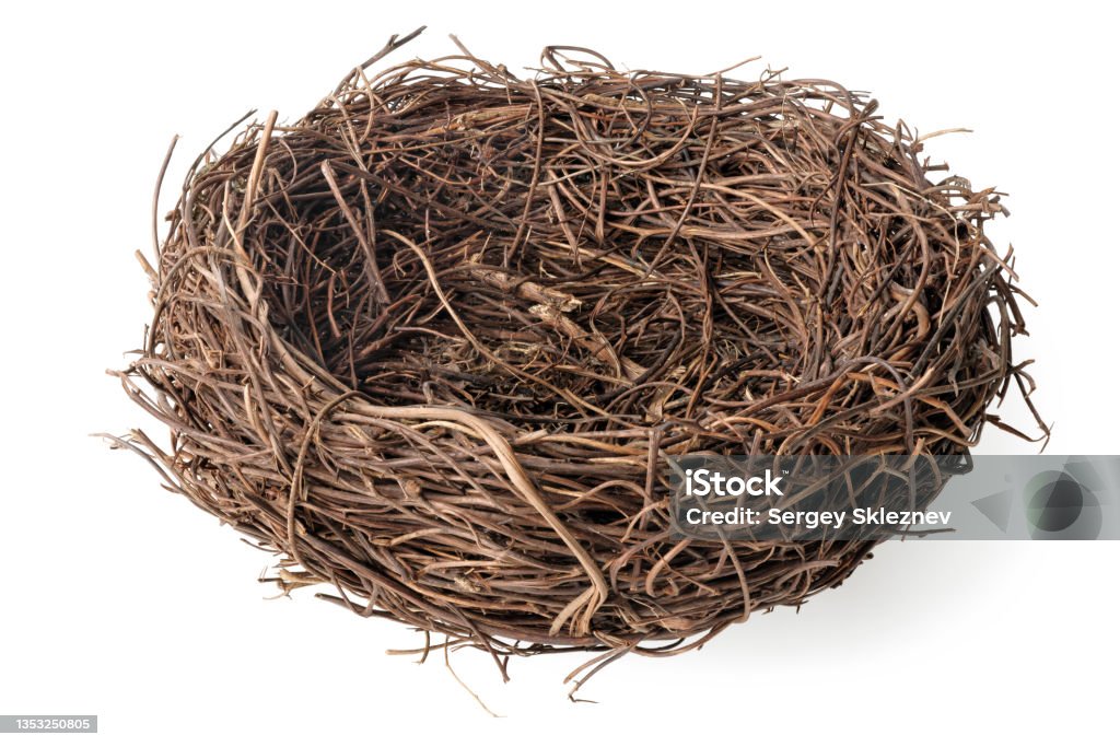 Nest time moving to Wednesdays