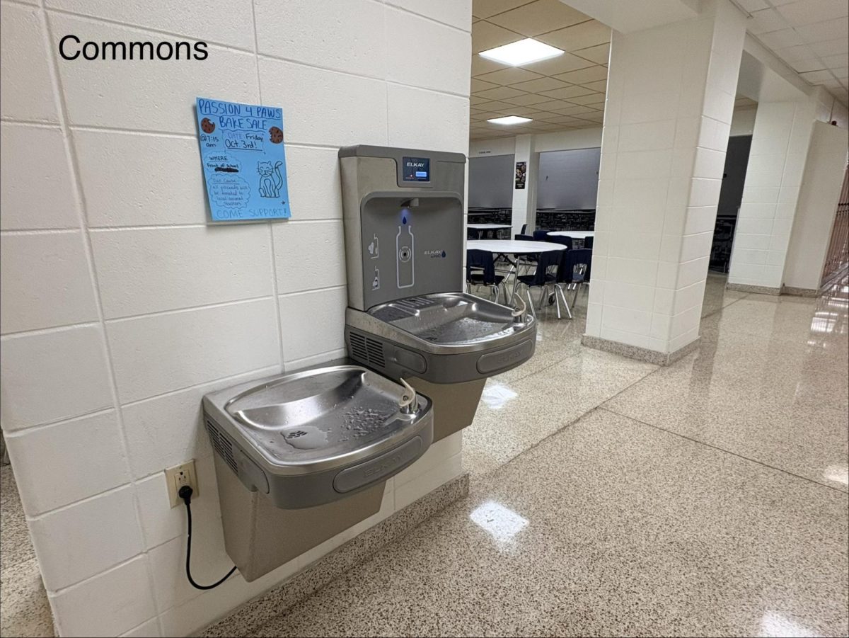 DPHS water fountains ranked from worst to first