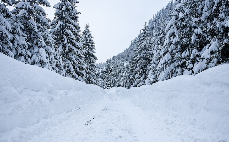 Cold weather and shoveling snow are lousy, but winter isn't all bad